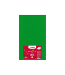 Fetru, 50x30cm, 180g/m2, verde, 10 foi, MAXI